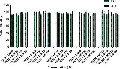 Investigation of novel combination therapy for age-related macular degeneration on ARPE-19 cells